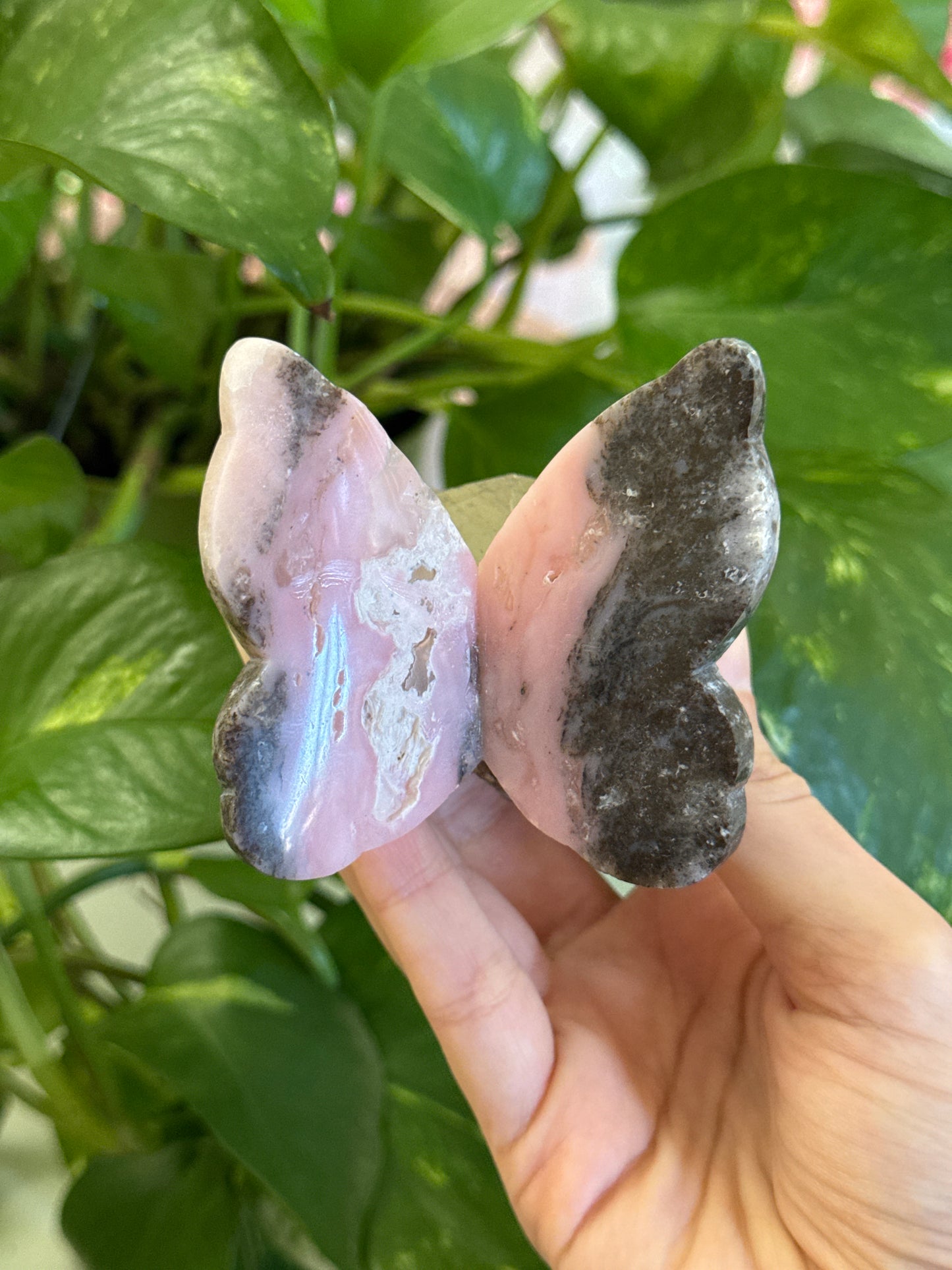 Hand Carved Peruvian Pink Opal Butterfly on Cubic A