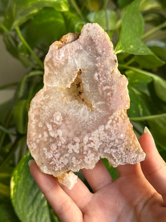 Druzy Flower Agate Slab