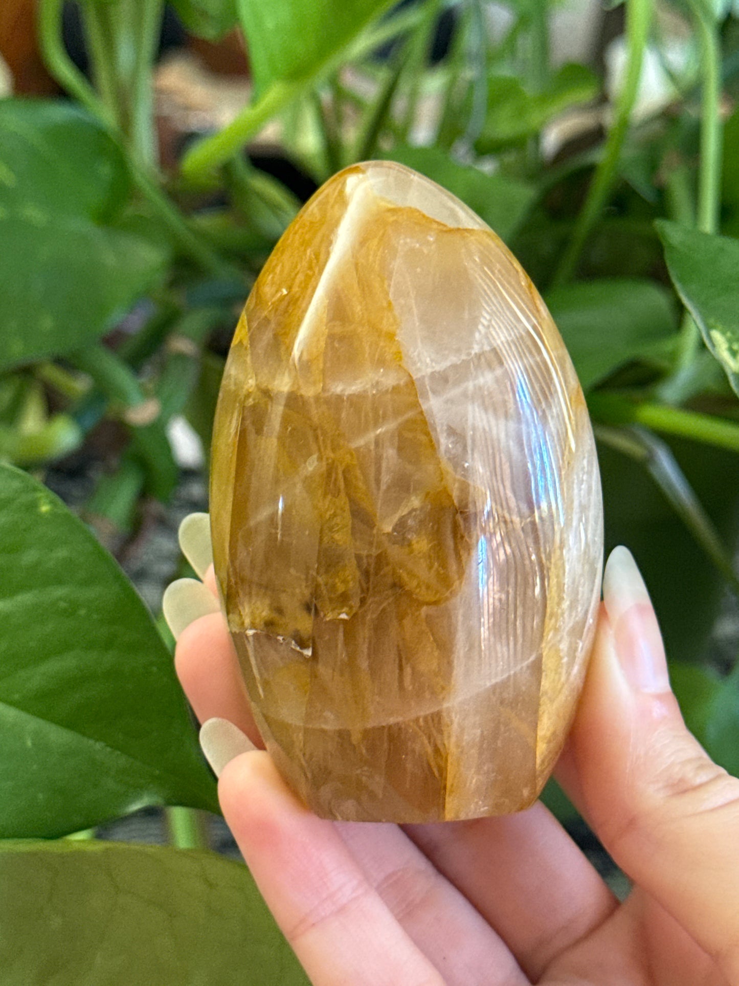 Star Flash Golden Healer Freeform A *see vid for asterism*