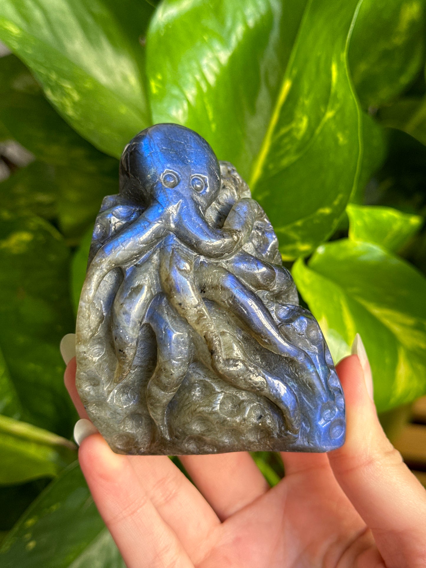 Cobalt Blue Labradorite Octopus Carving