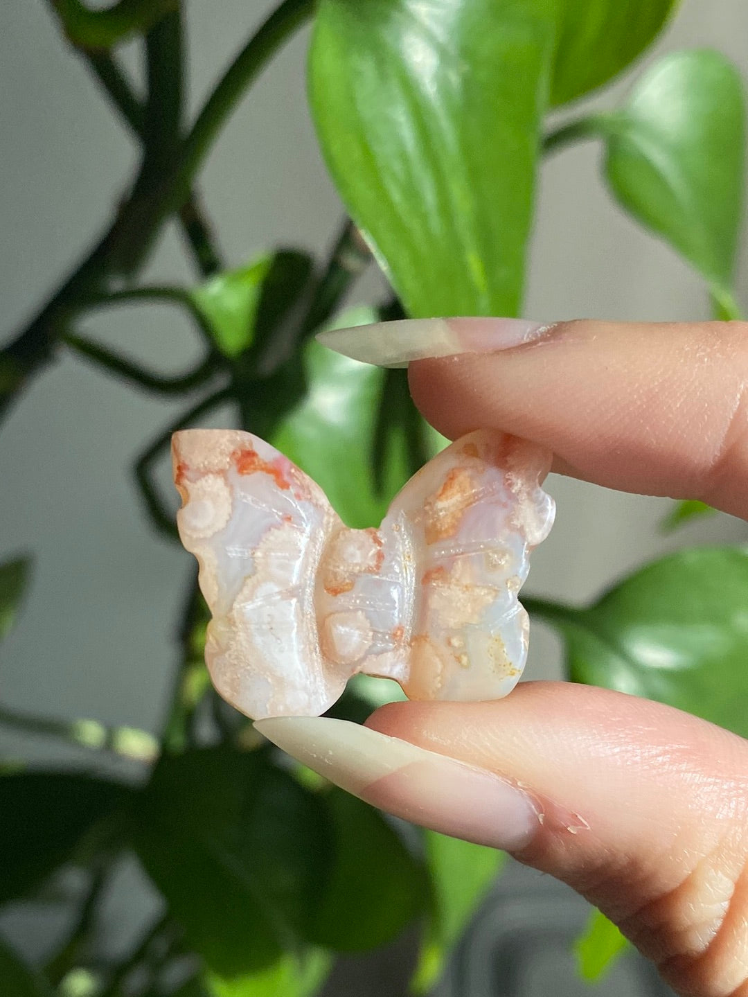 Flower Agate Butterfly - Intuitively Picked