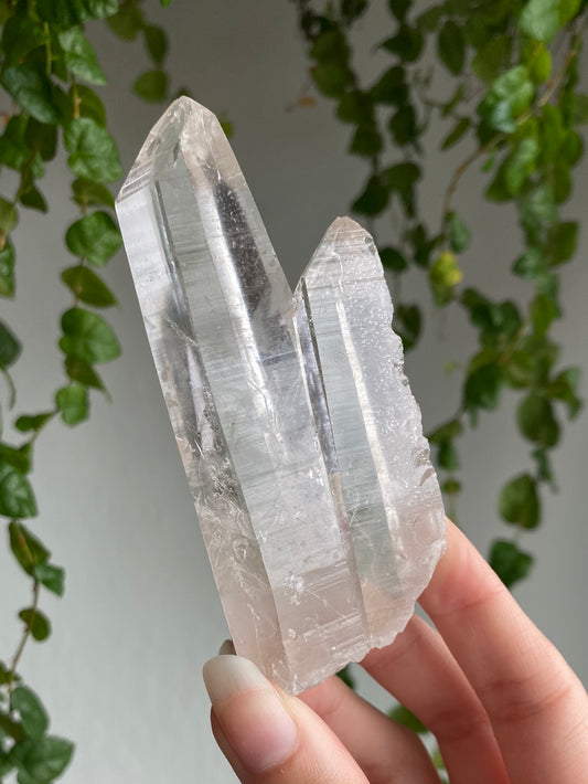 Raw Lemurian Points | You Pick