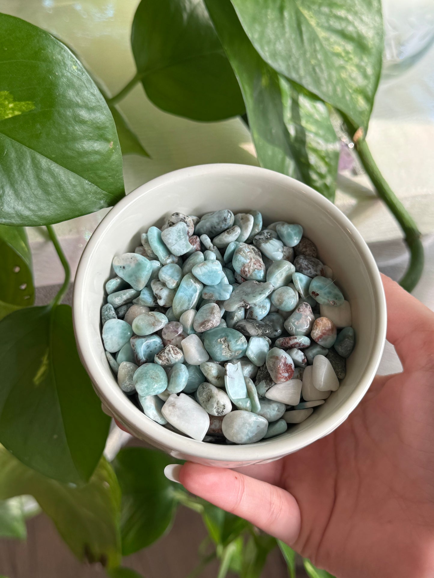 Medium Larimar Chips