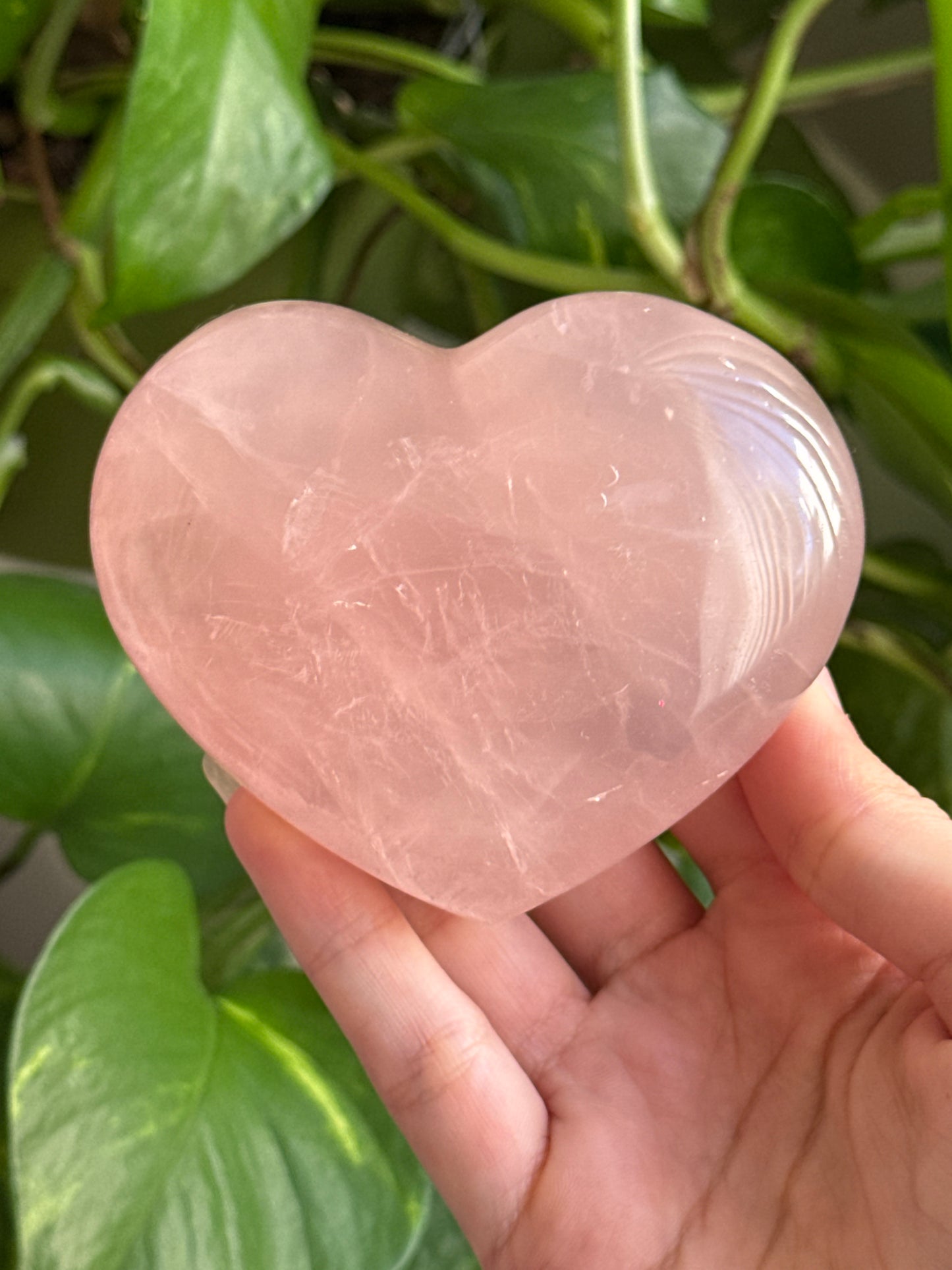 Gemmy Rose Quartz Chubby Heart With Asterism