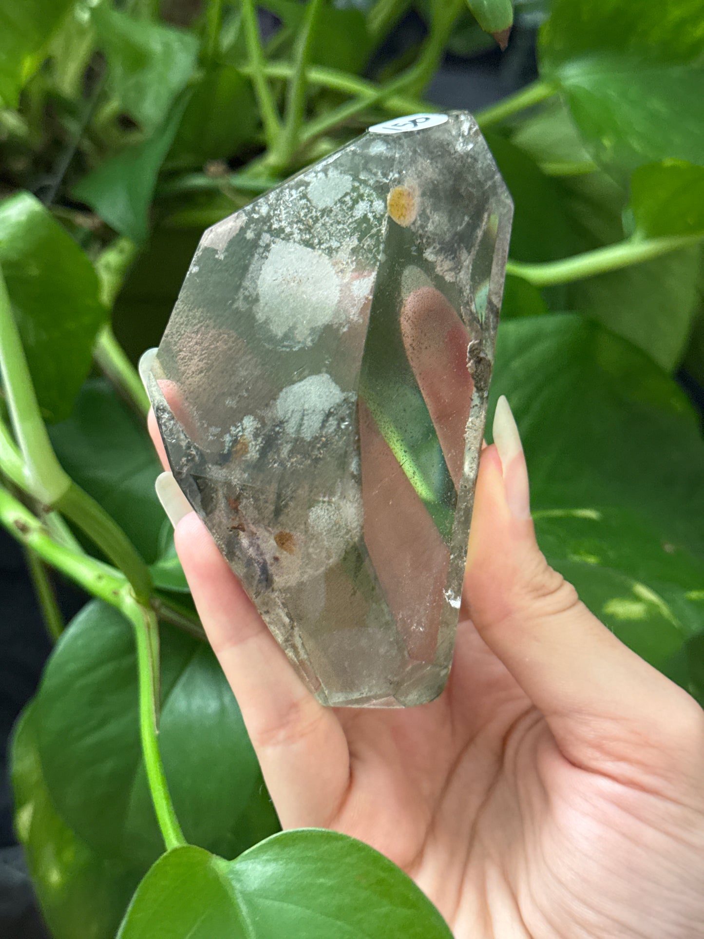 Unique Garden Quartz Freeform