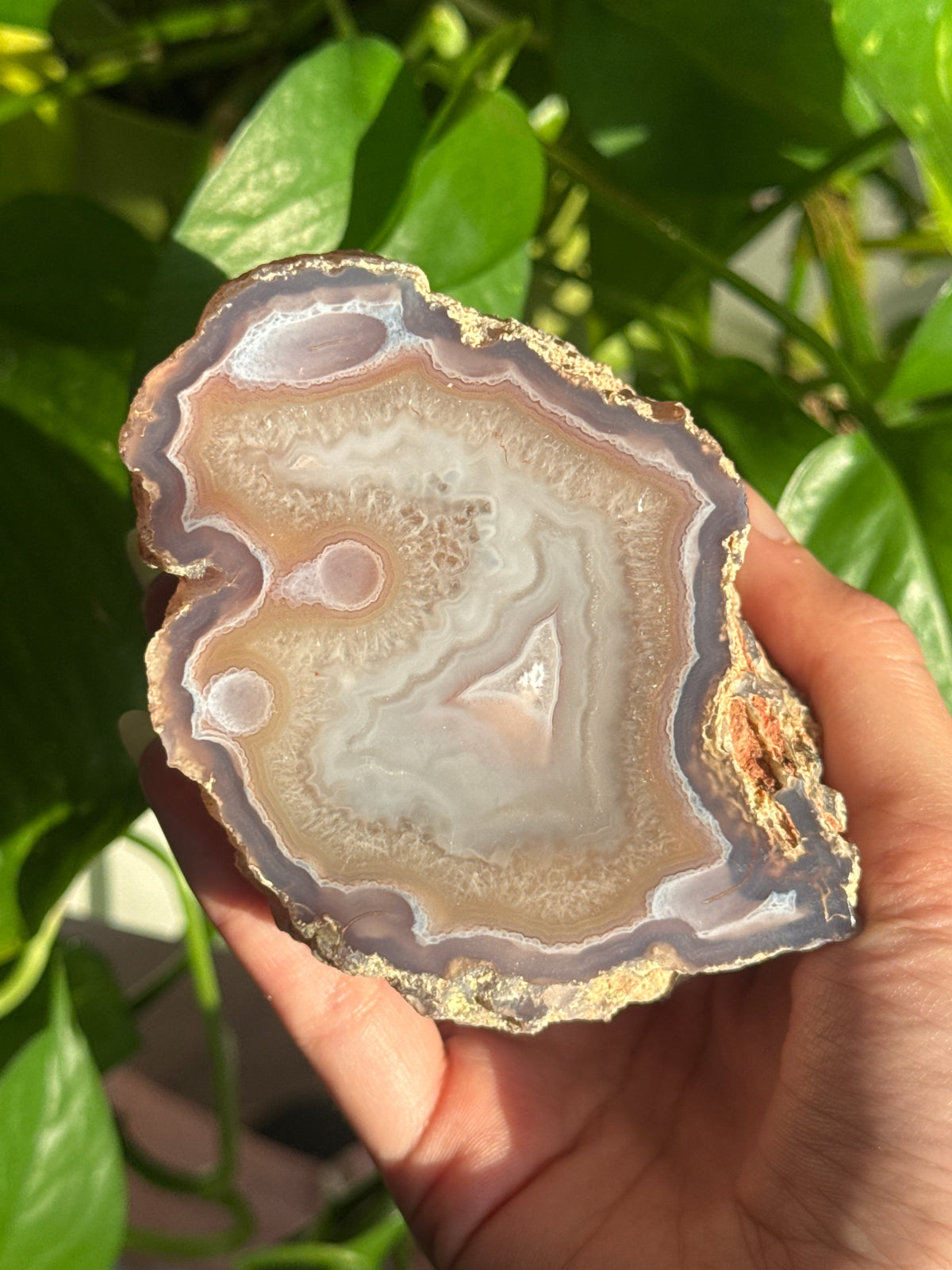 Laguna Agate Geode Specimen