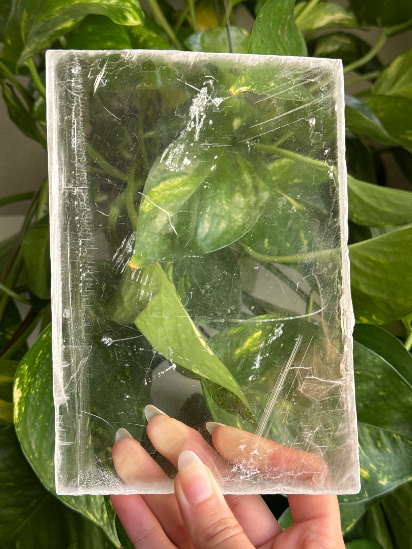 Super Clear Large True Selenite Slab