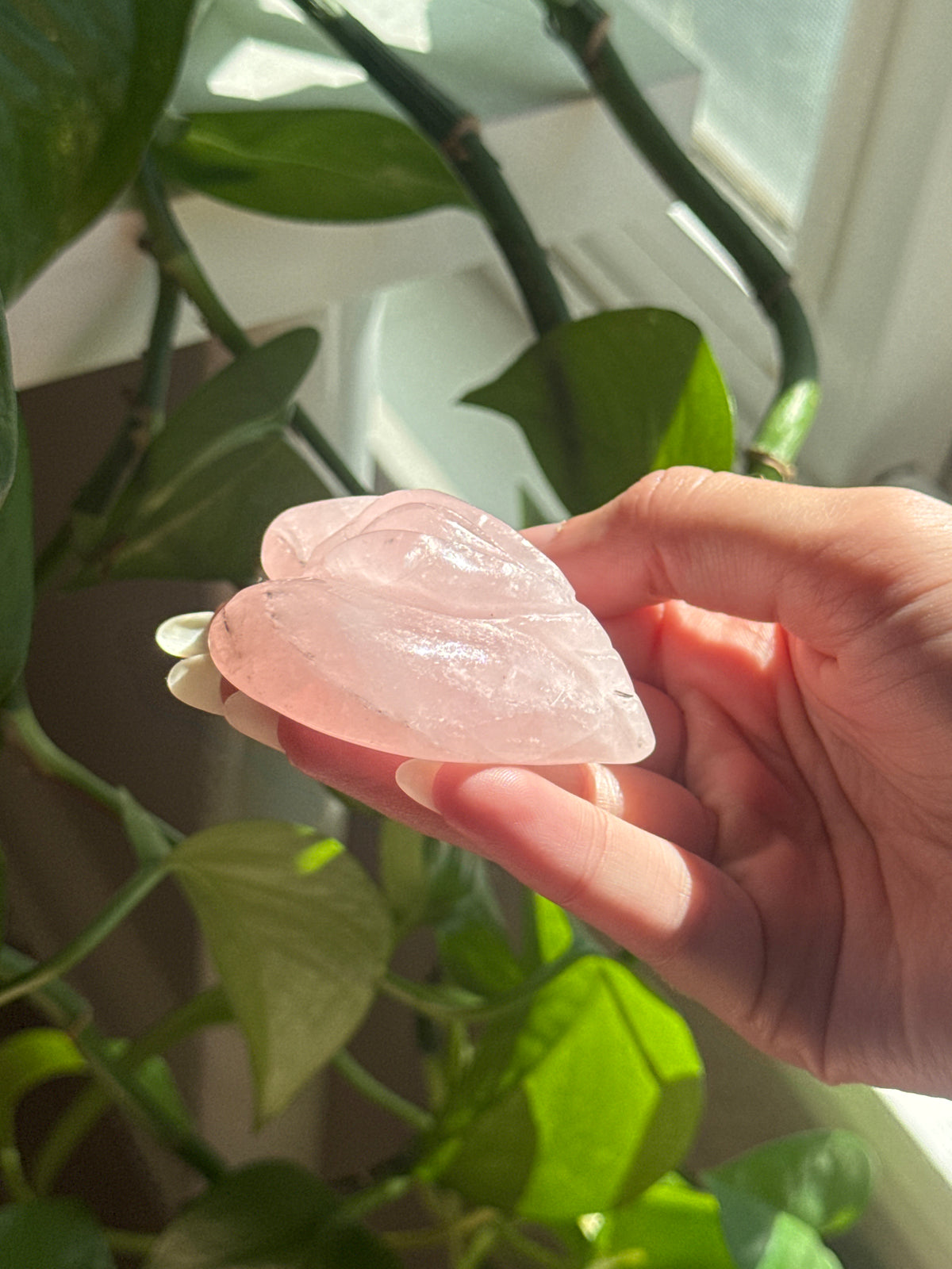 Divine Feminine Yoni Heart