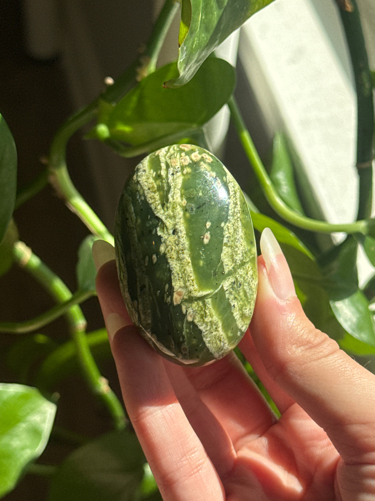 Swiss Green Opal Palmstone