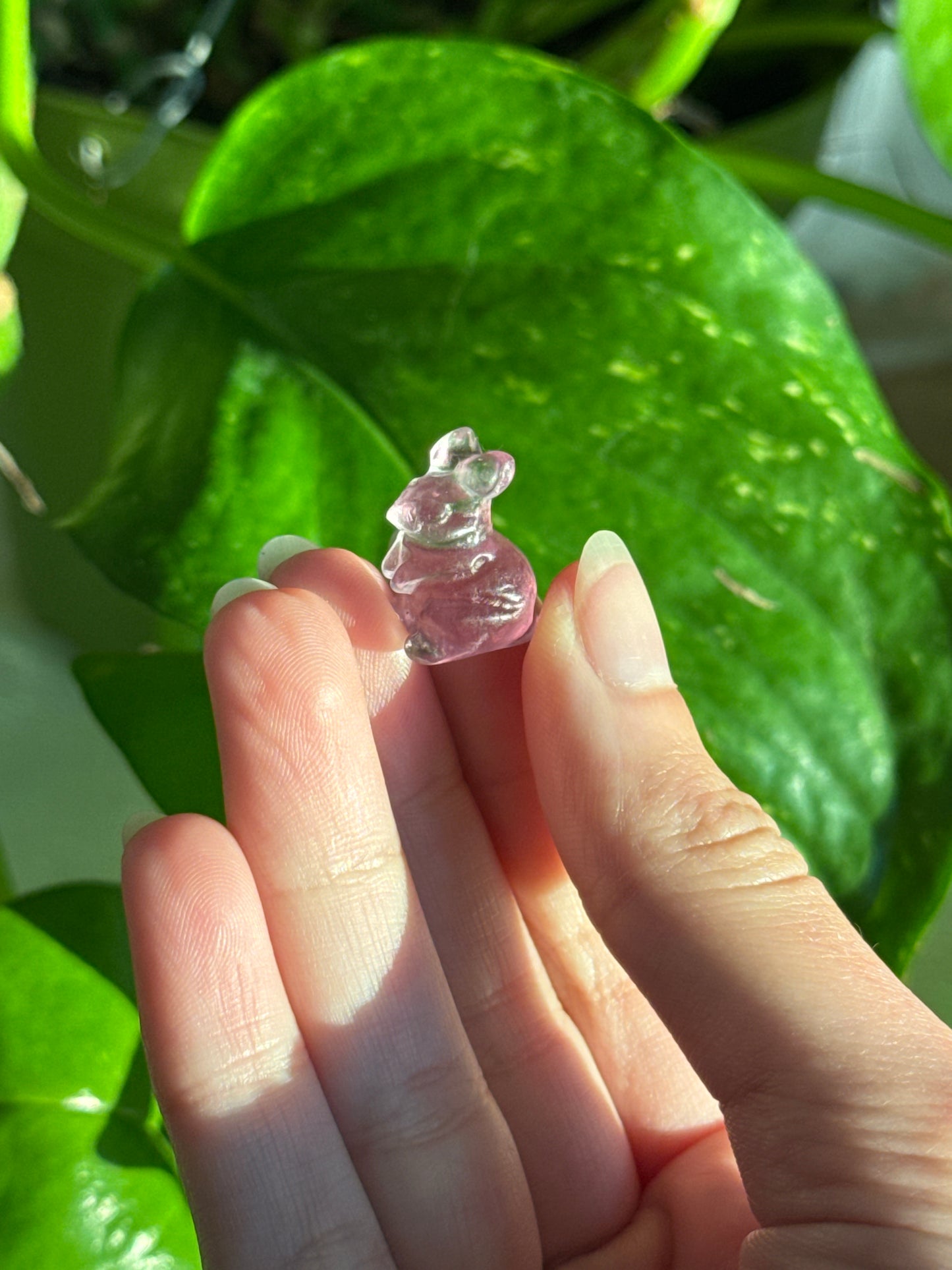 Bunny Fluorite Mini Carving