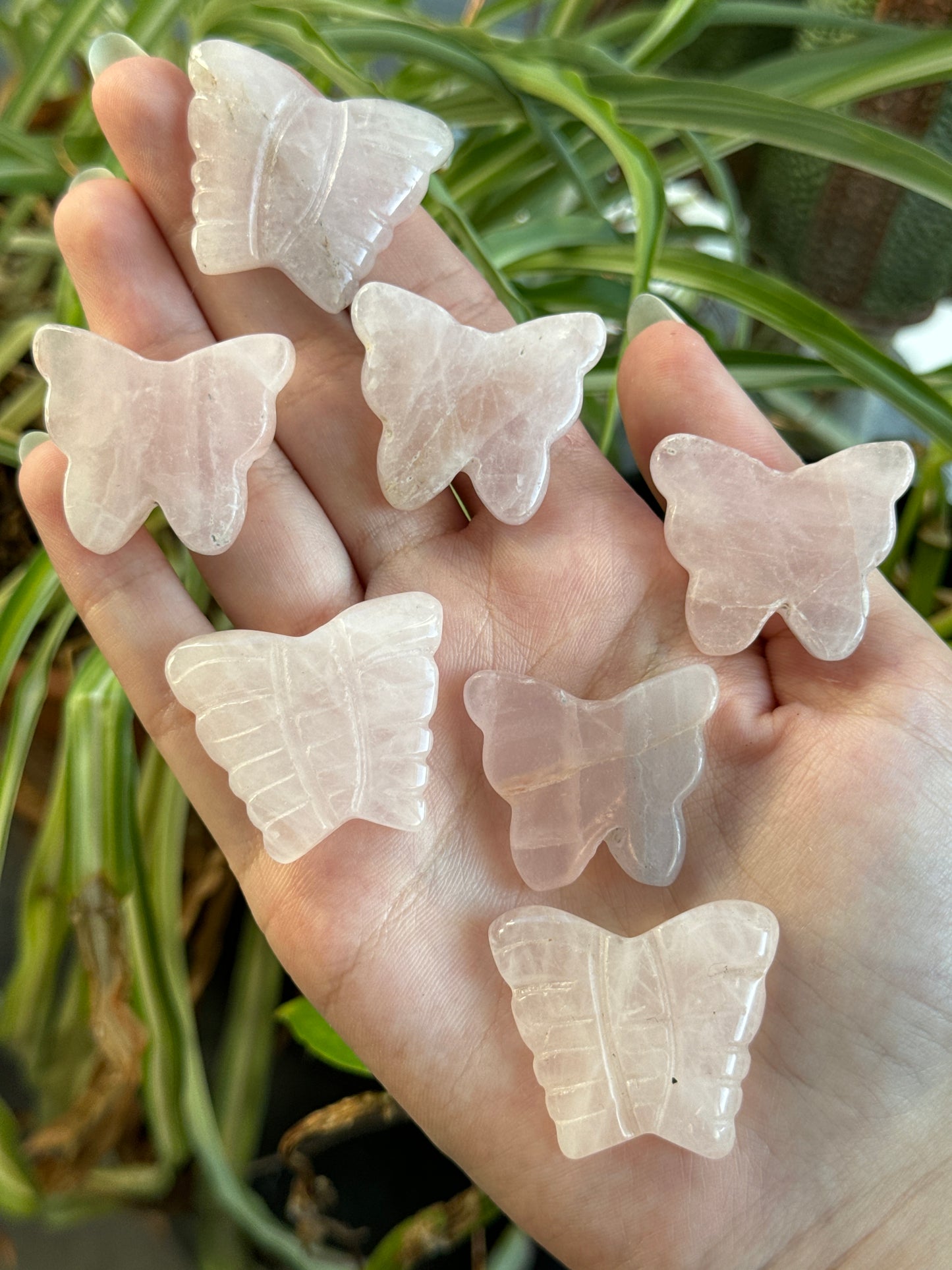 Butterfly Carvings | You Pick Material