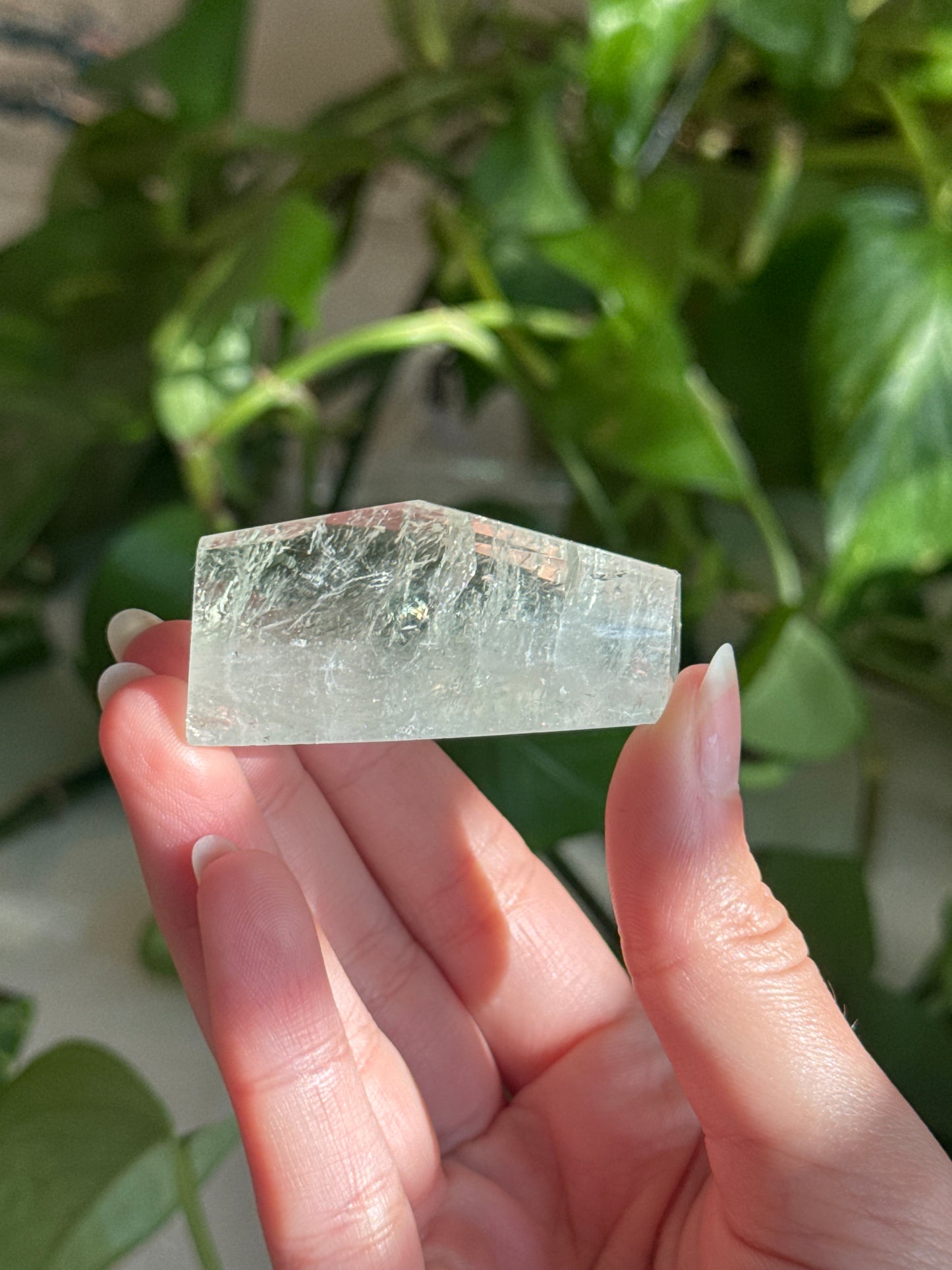 Prasiolite Gemmy Freeform C