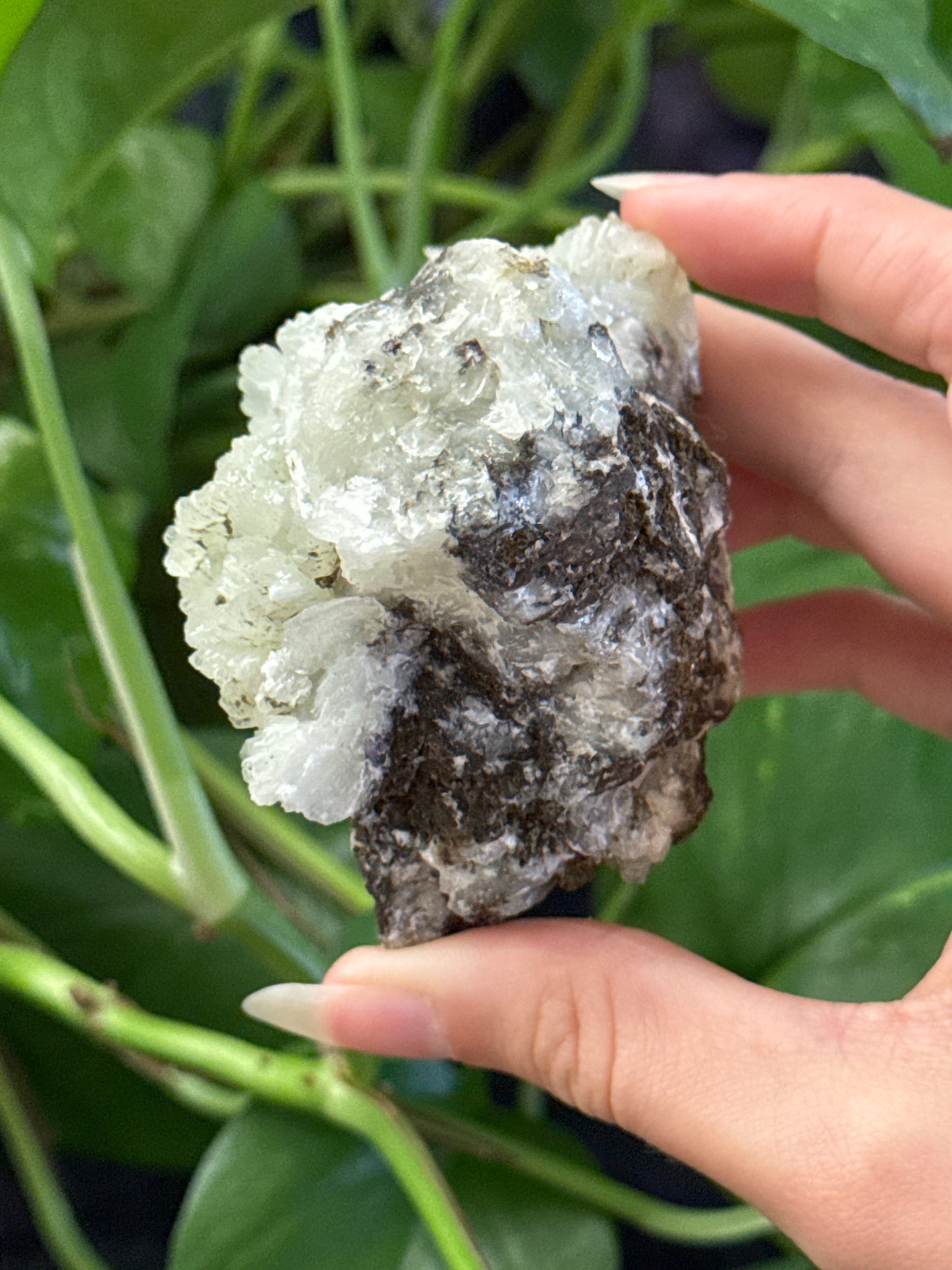 Crystallized Prehnite B