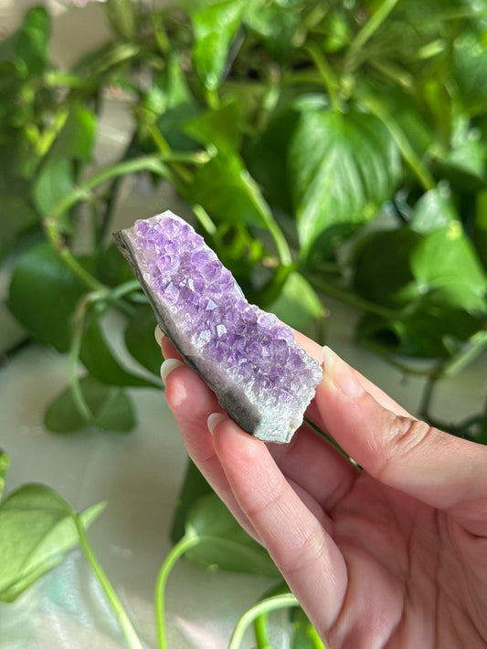 Amethyst Geode Specimen