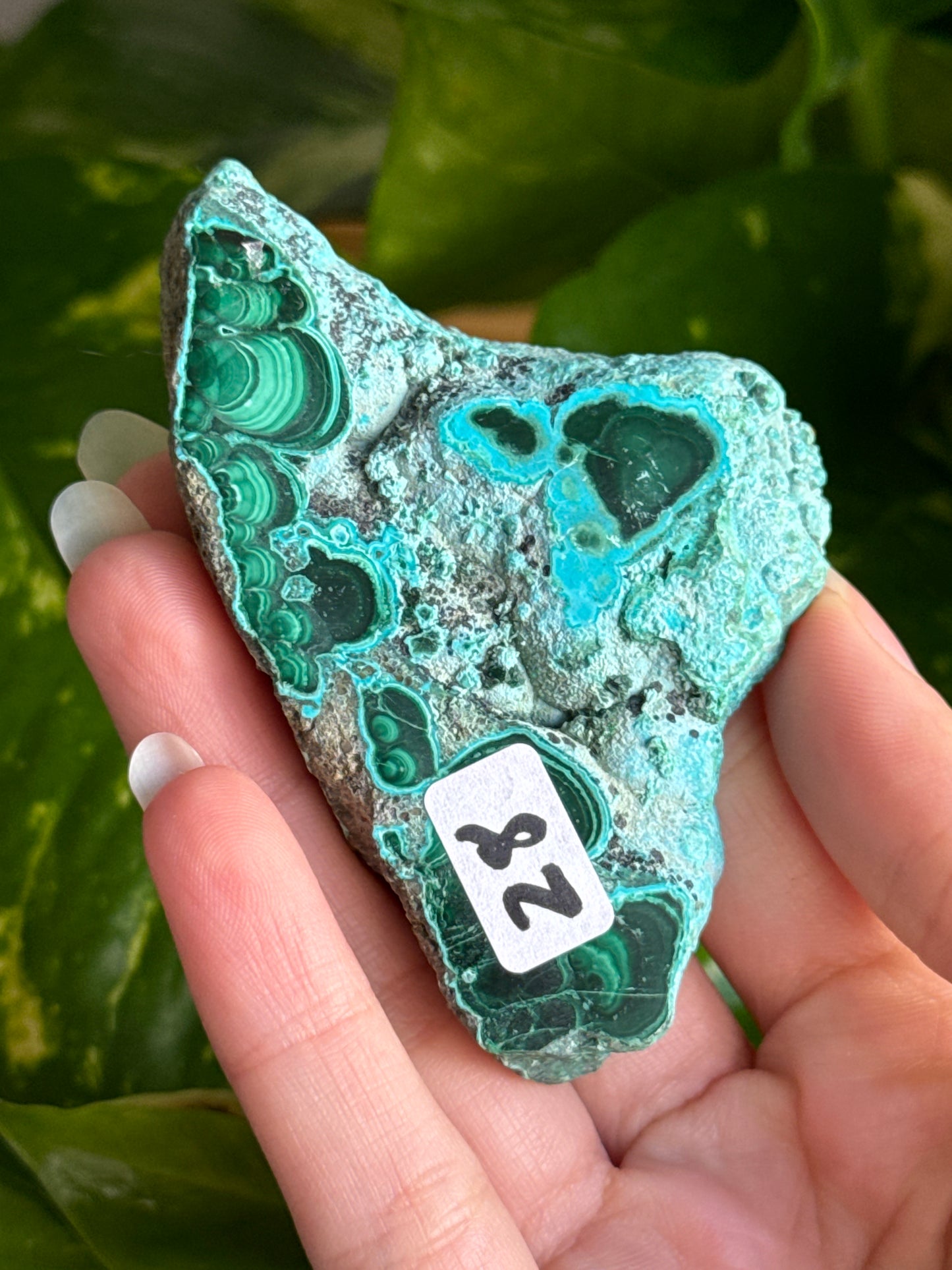 Malachite & Chrysocolla Slab B