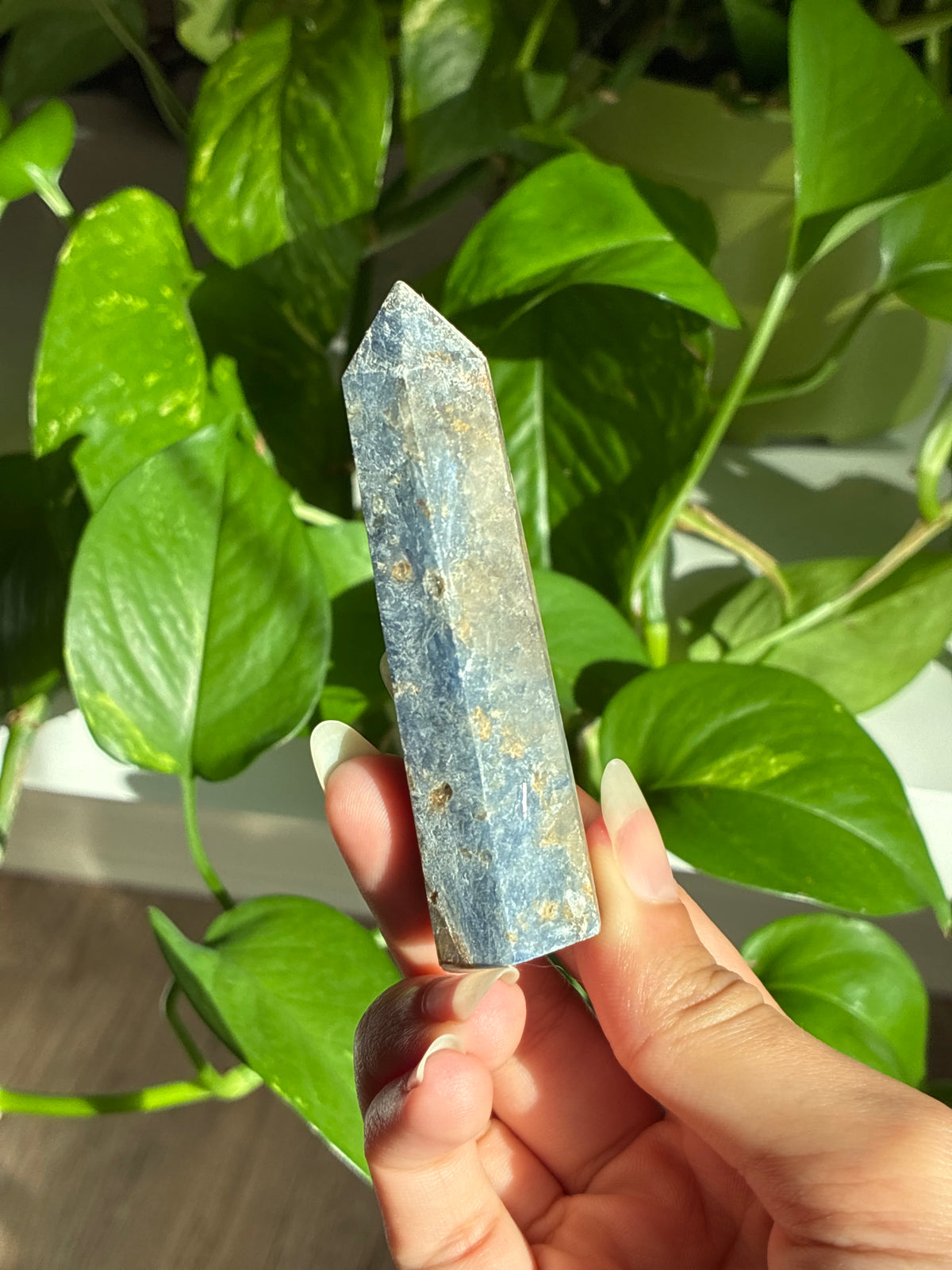 Kyanite Tower with Garnet B