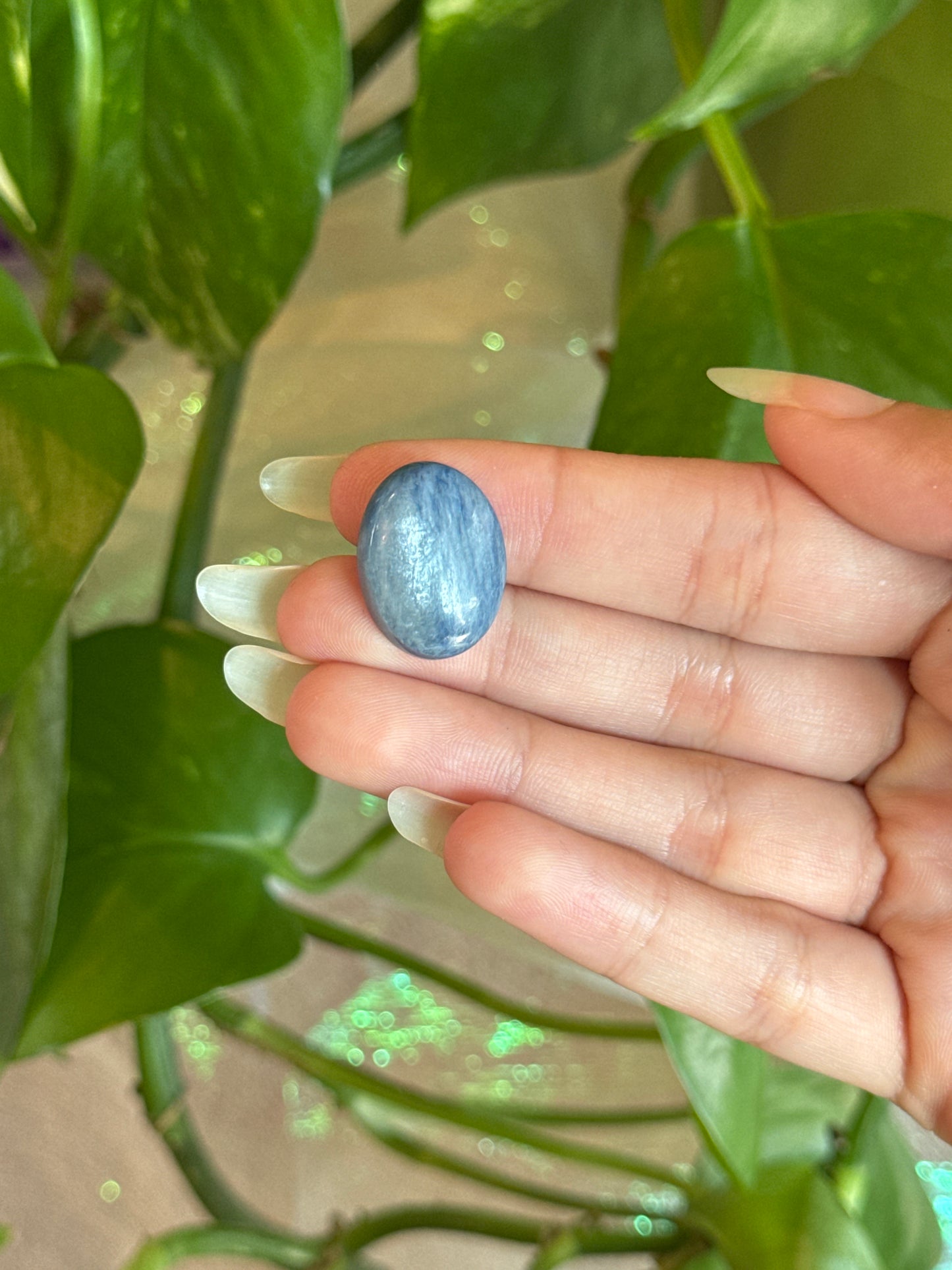 Shiny Kyanite Oval