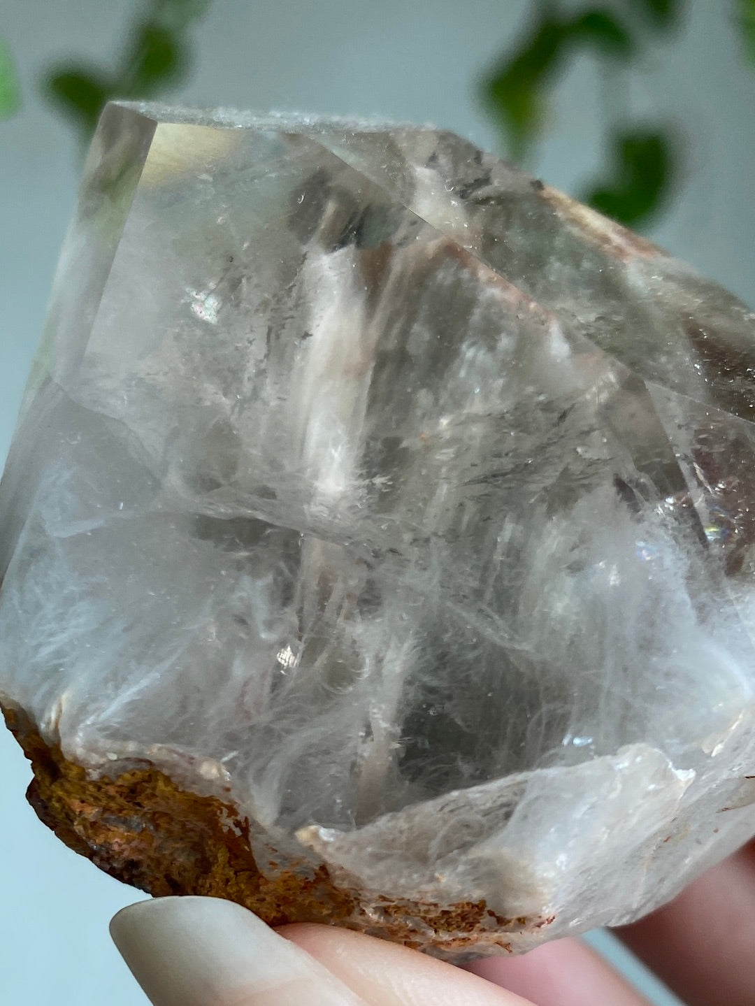 Amphibole Quartz