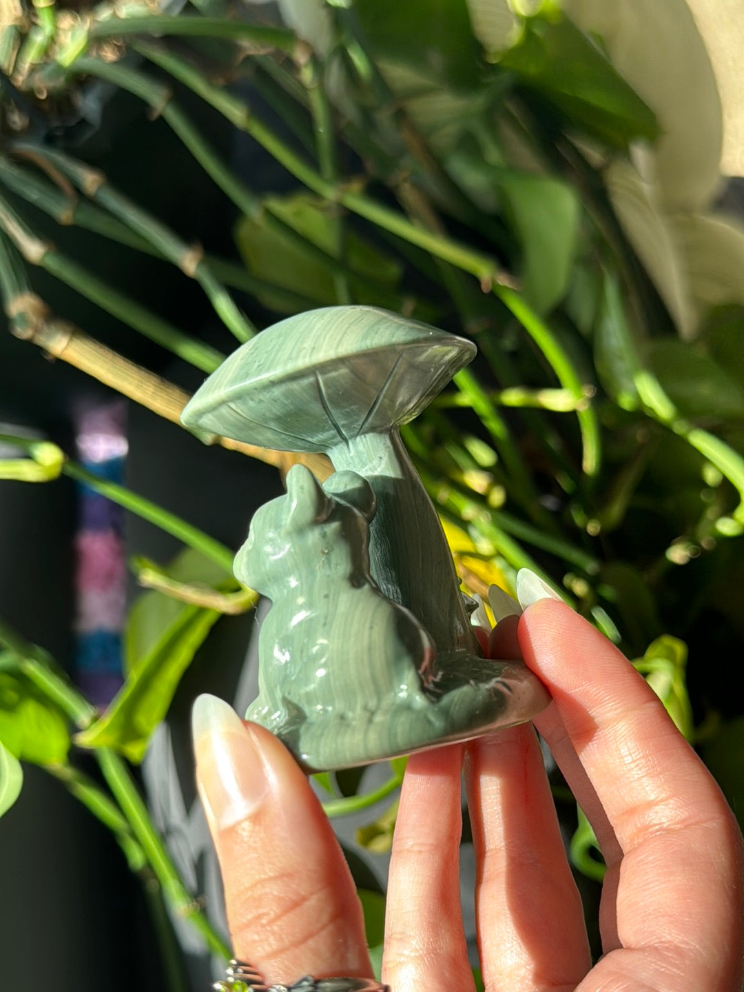 Puppy Jade Mushroom