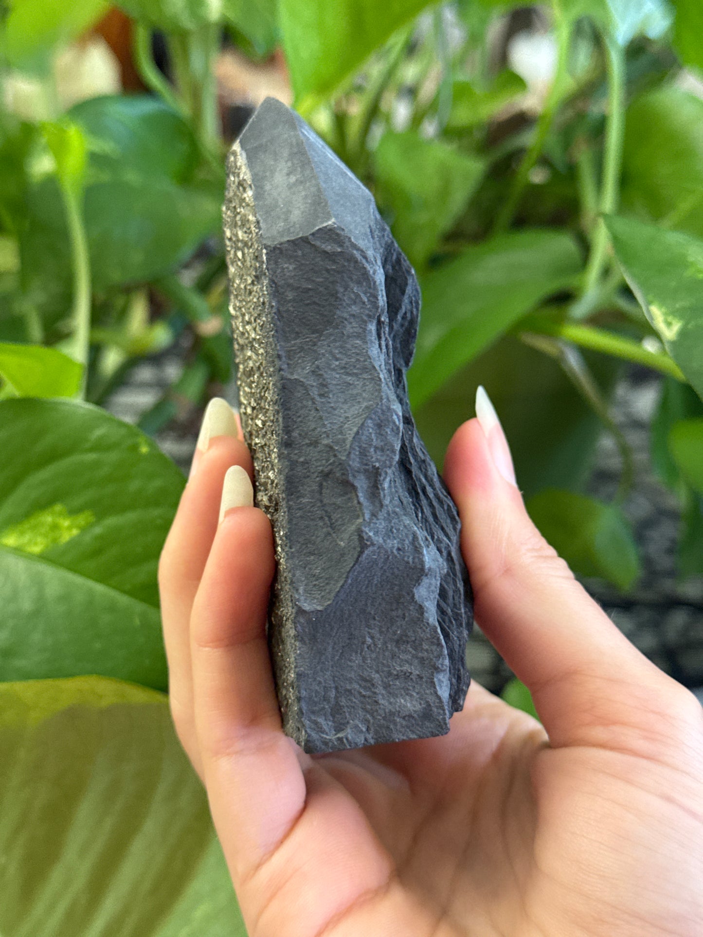 Pyrite on Shungite Specimen Tower