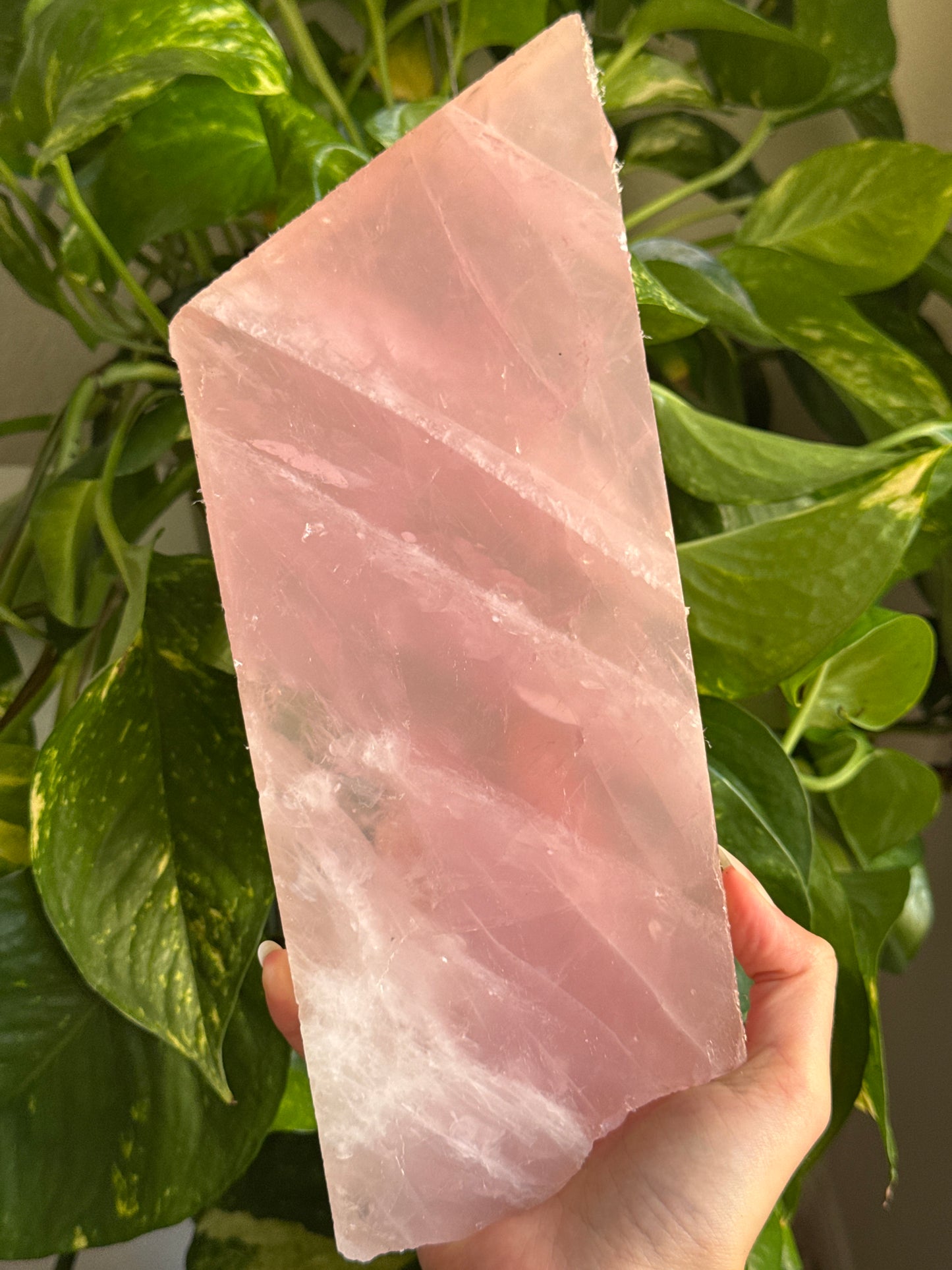 XL Rose Quartz Slab