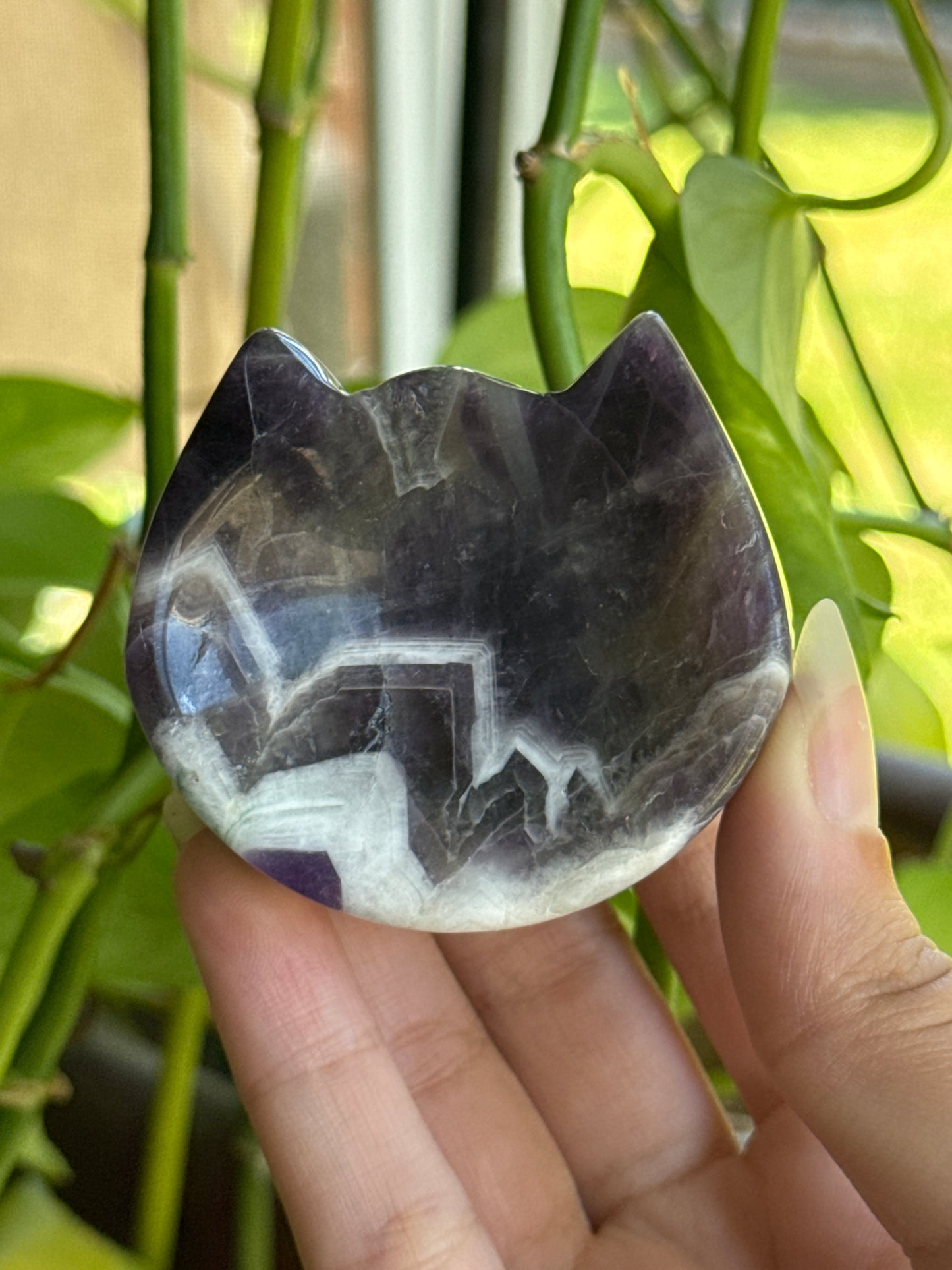 Dream Amethyst Kitty Bowl