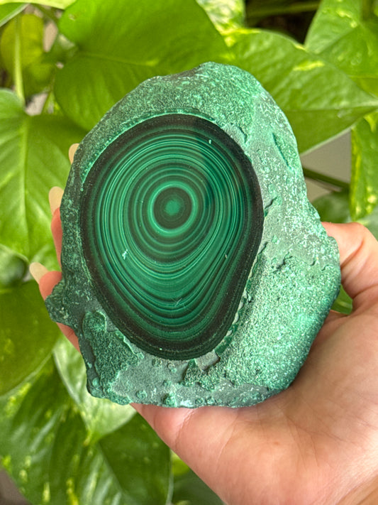 Large Half Polished Malachite Specimen