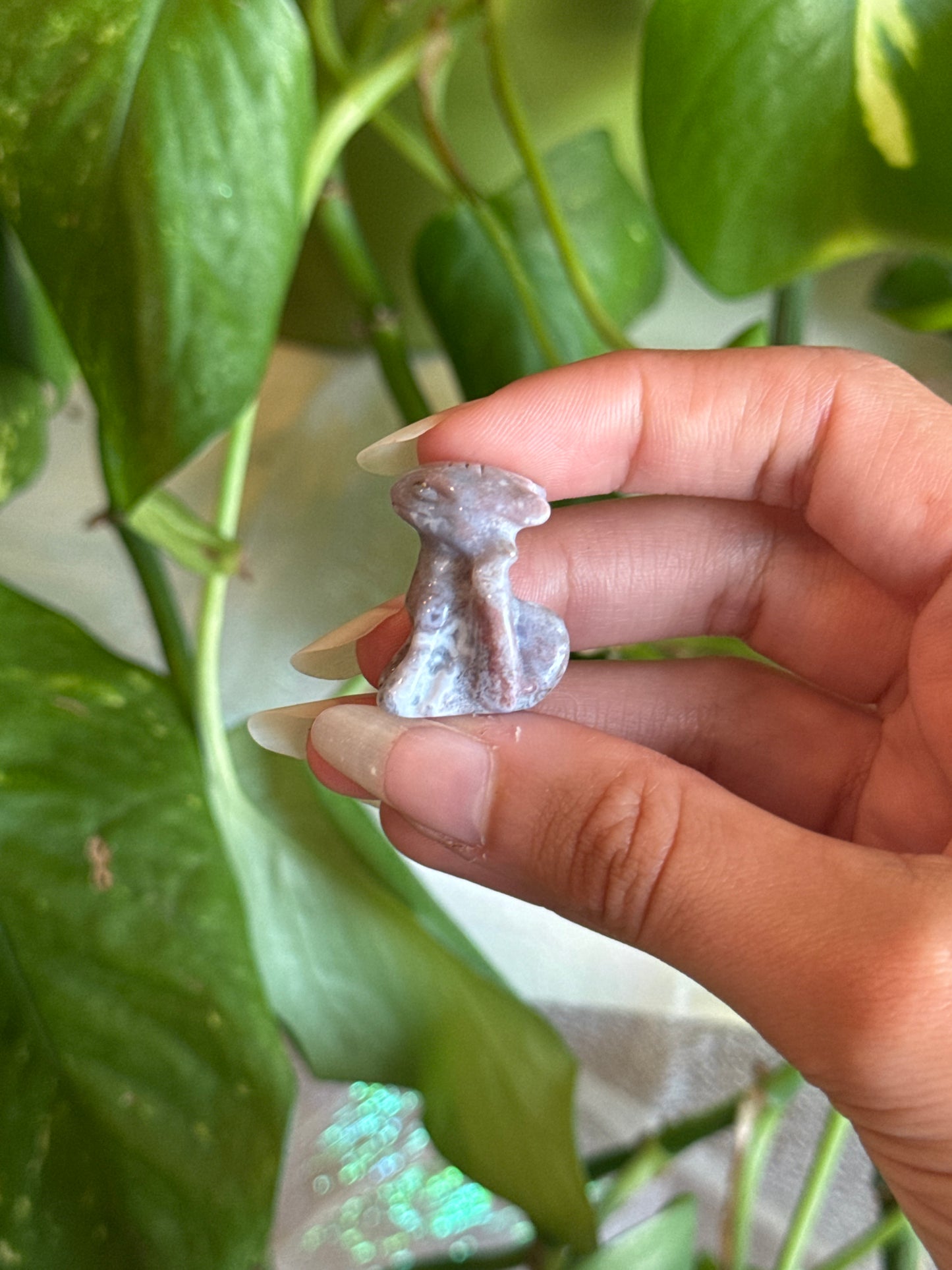Sea Jasper Mini Toothless Carving