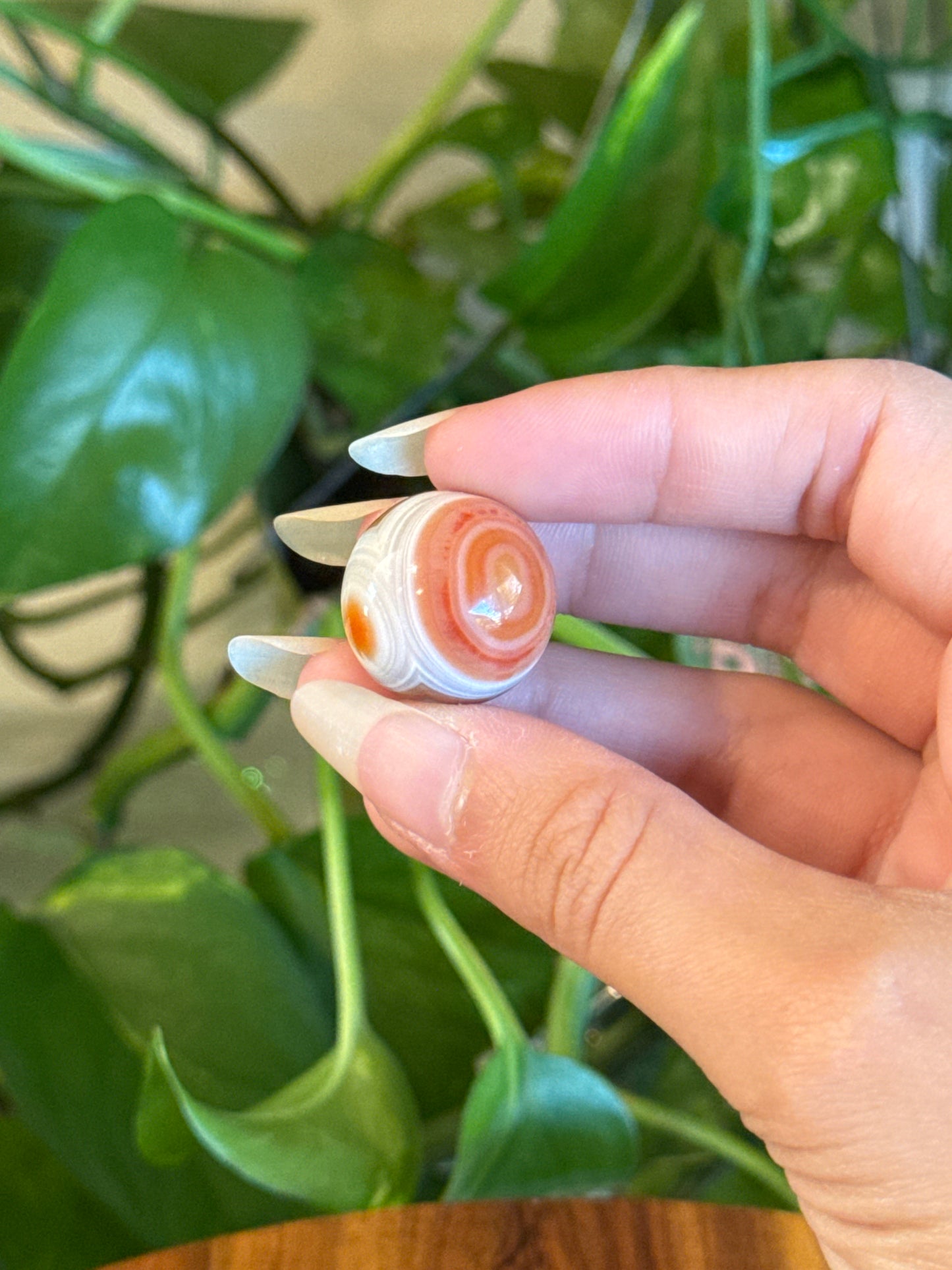 simplynichol listing