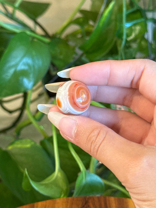 simplynichol listing