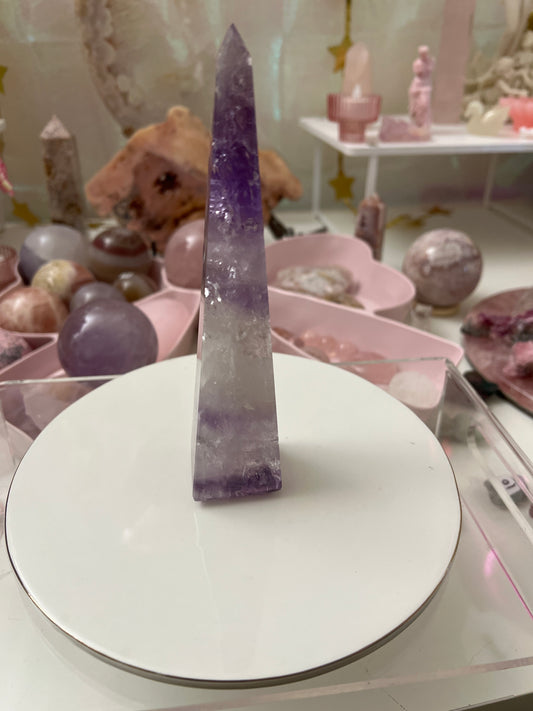 steallarspacecat listing