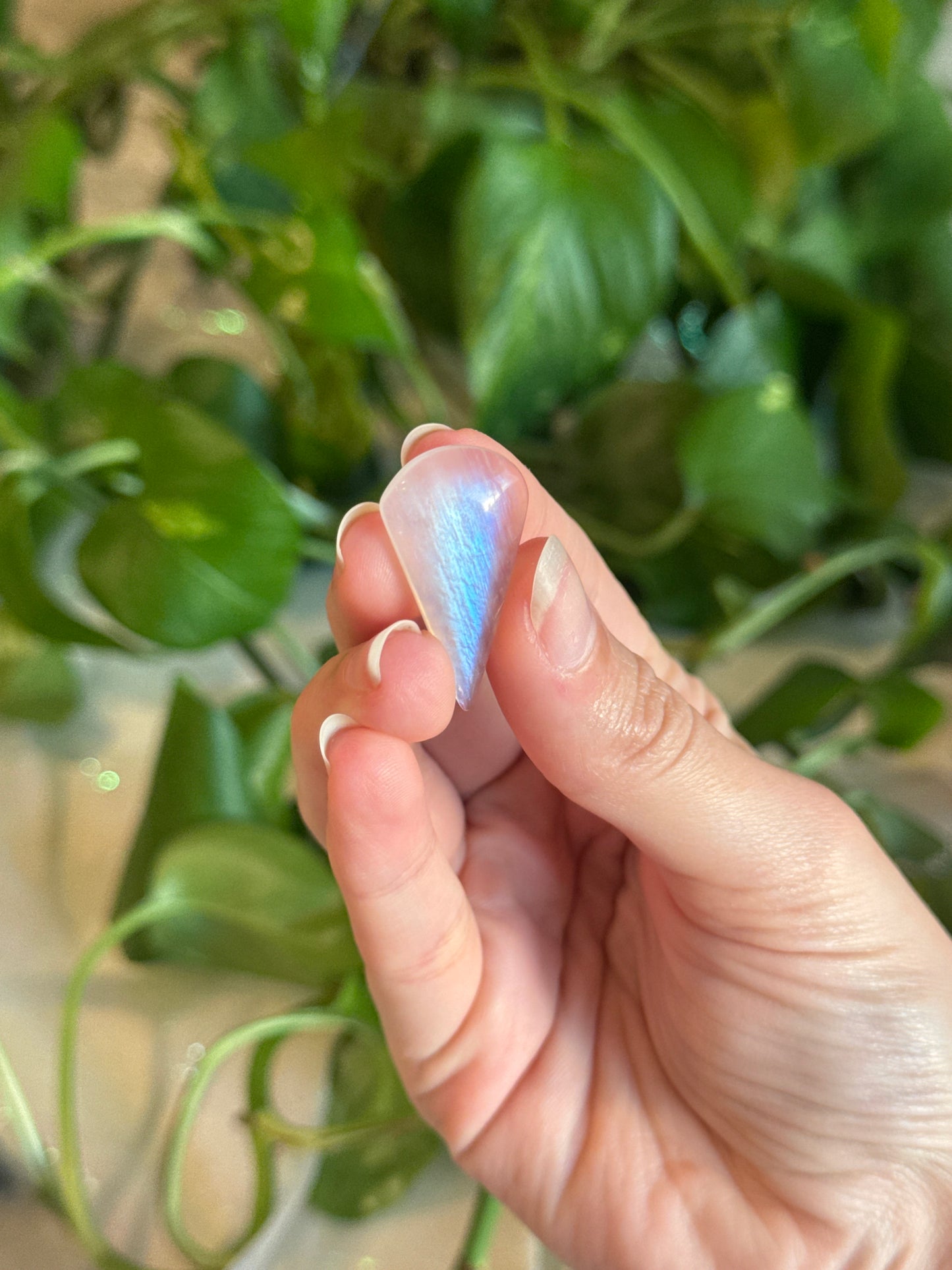 High Grade Moonstone Teardrop