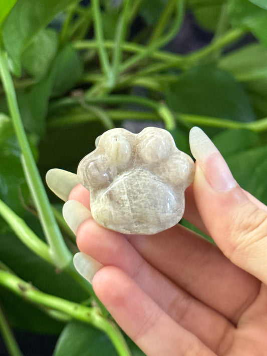 Moonstone Paw Carving