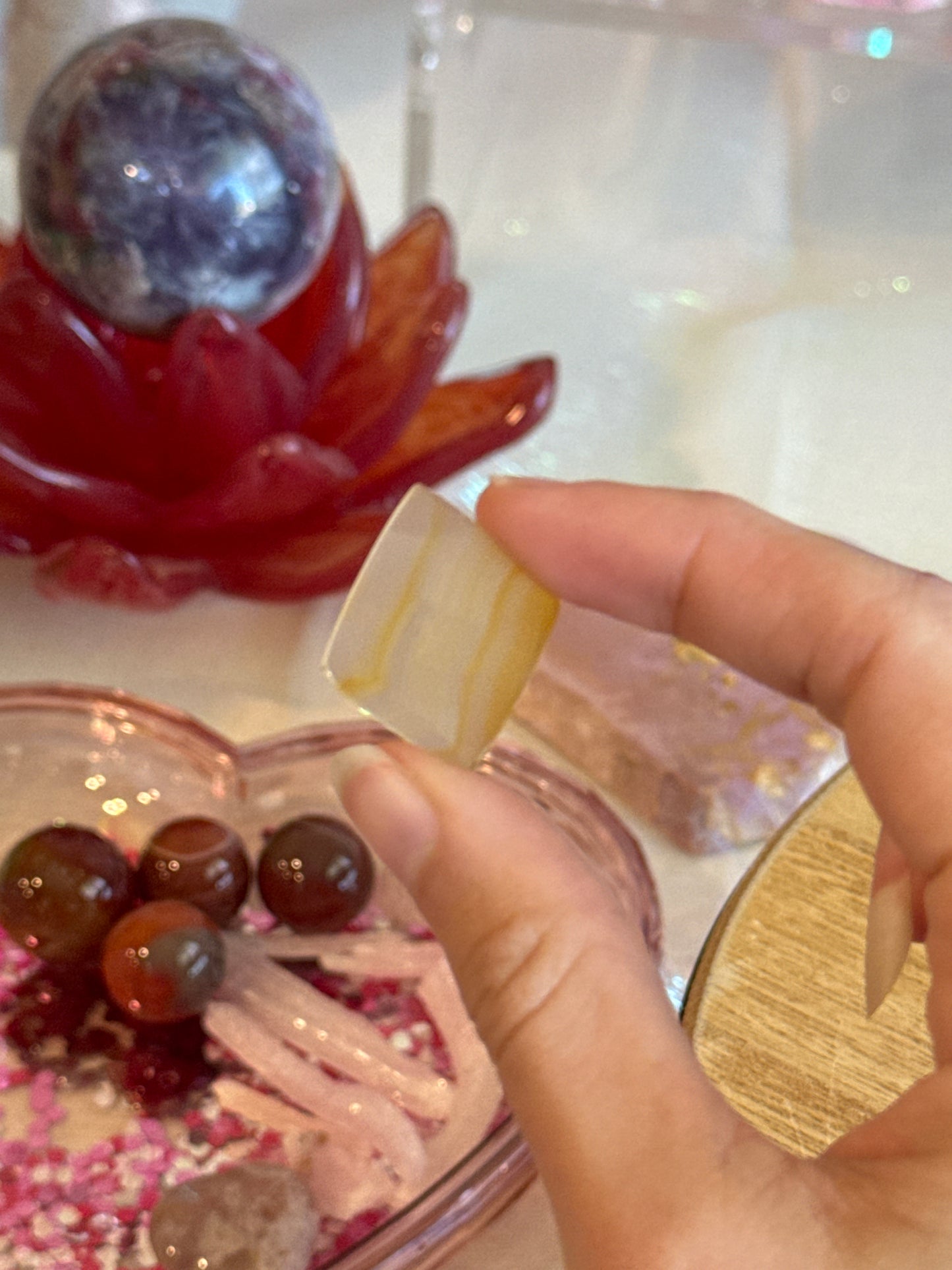 stephanieknecht listing