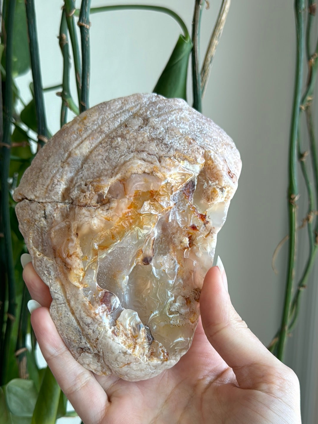 Large Flower Agate Slab