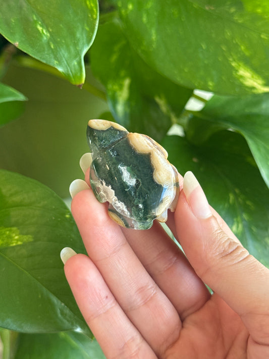 Ocean Jasper Turtle
