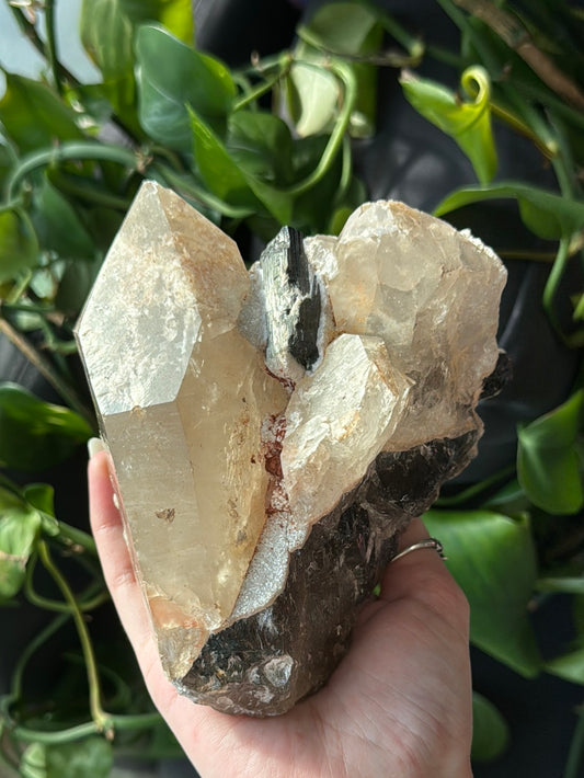 HUGE Smoky Quartz & Clear Quartz & Black Tourmalime Specimen