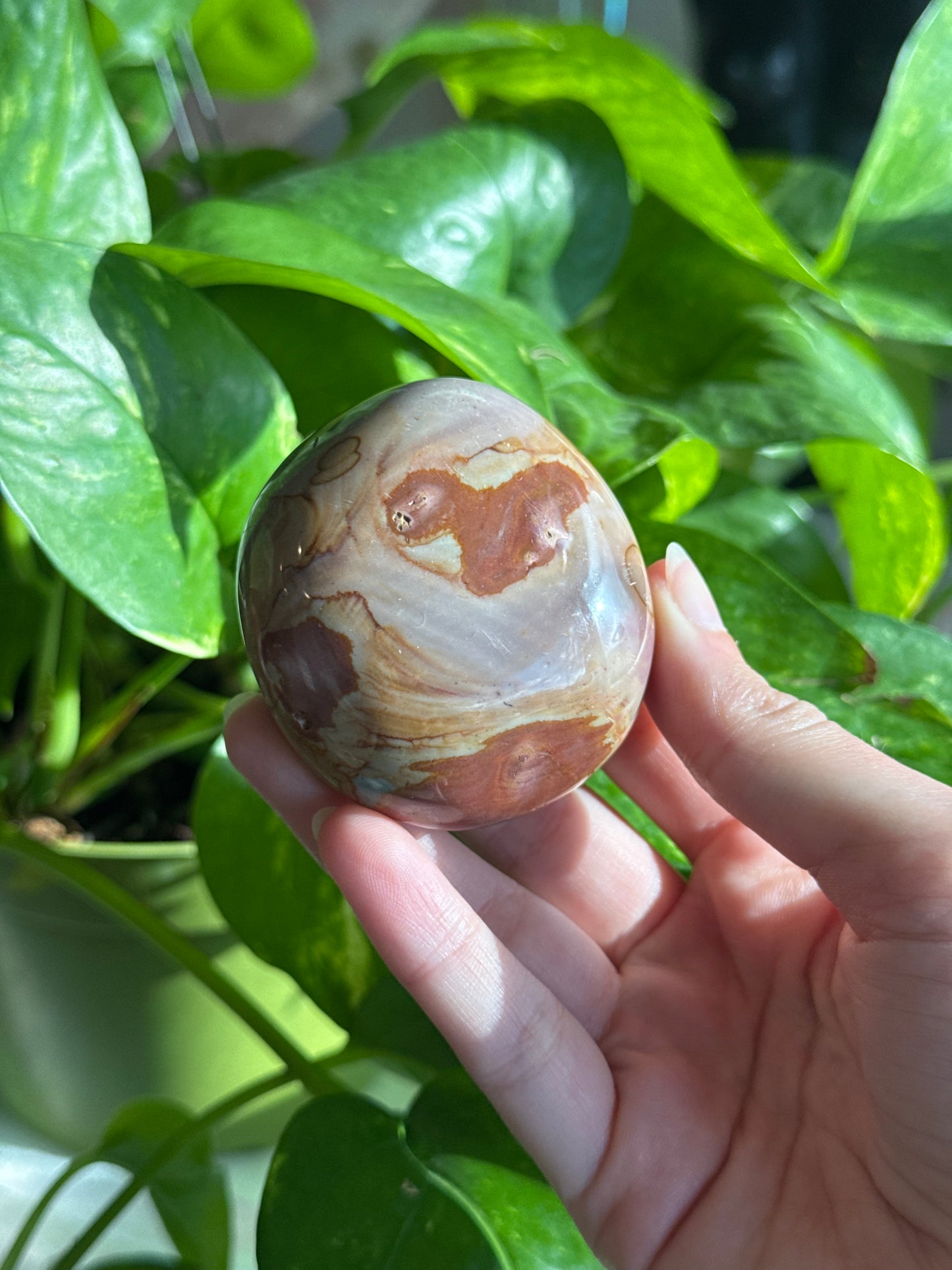 Pastel Polychrome Jasper Palmstone