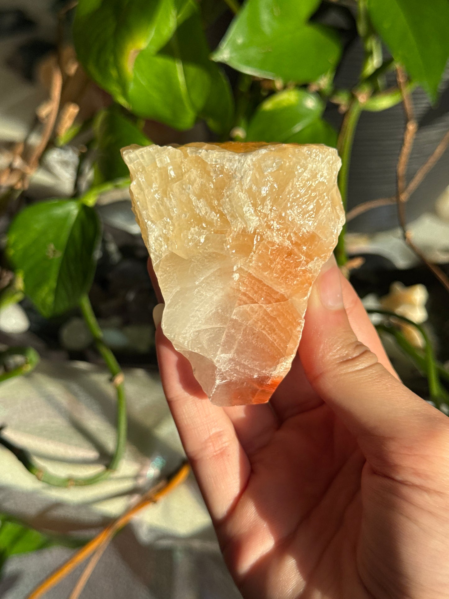 Peachy Banded Tri-Color Mexican Calcite D