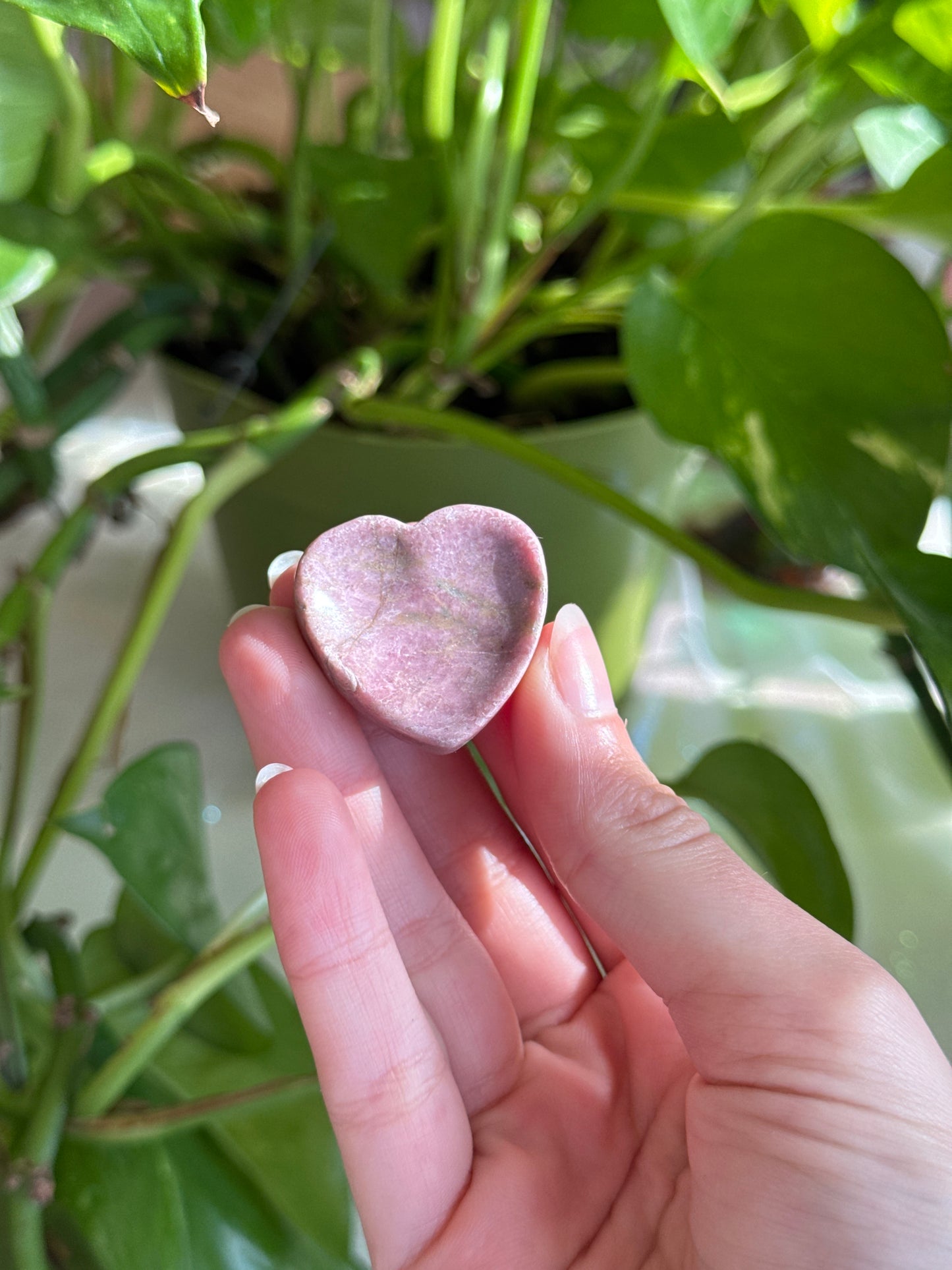 Rhodonite Mini Heart Bowl