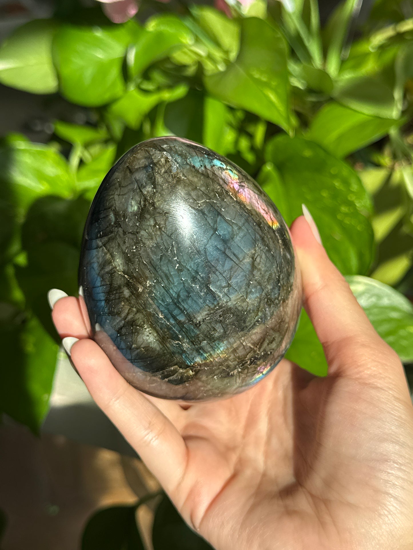 Large Flashy Labradorite Egg