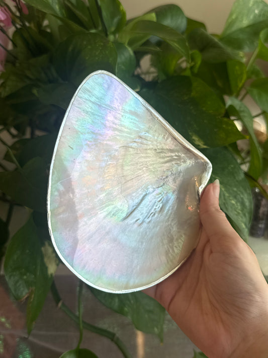 Iridescent Shell Handmade Bowl B