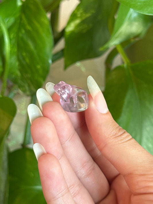 Cute lil Fluorite Frog