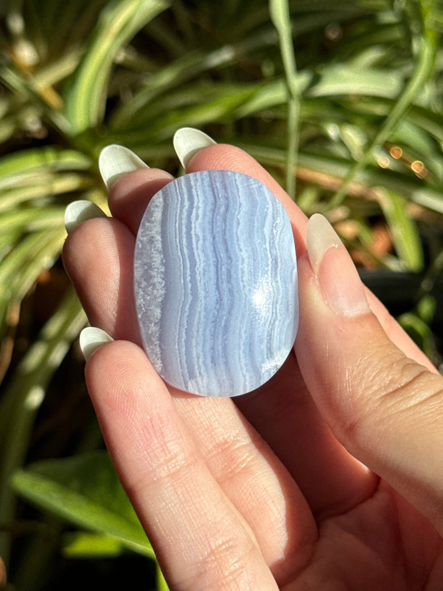 Blue Lace Agate Palmstone | You Pick