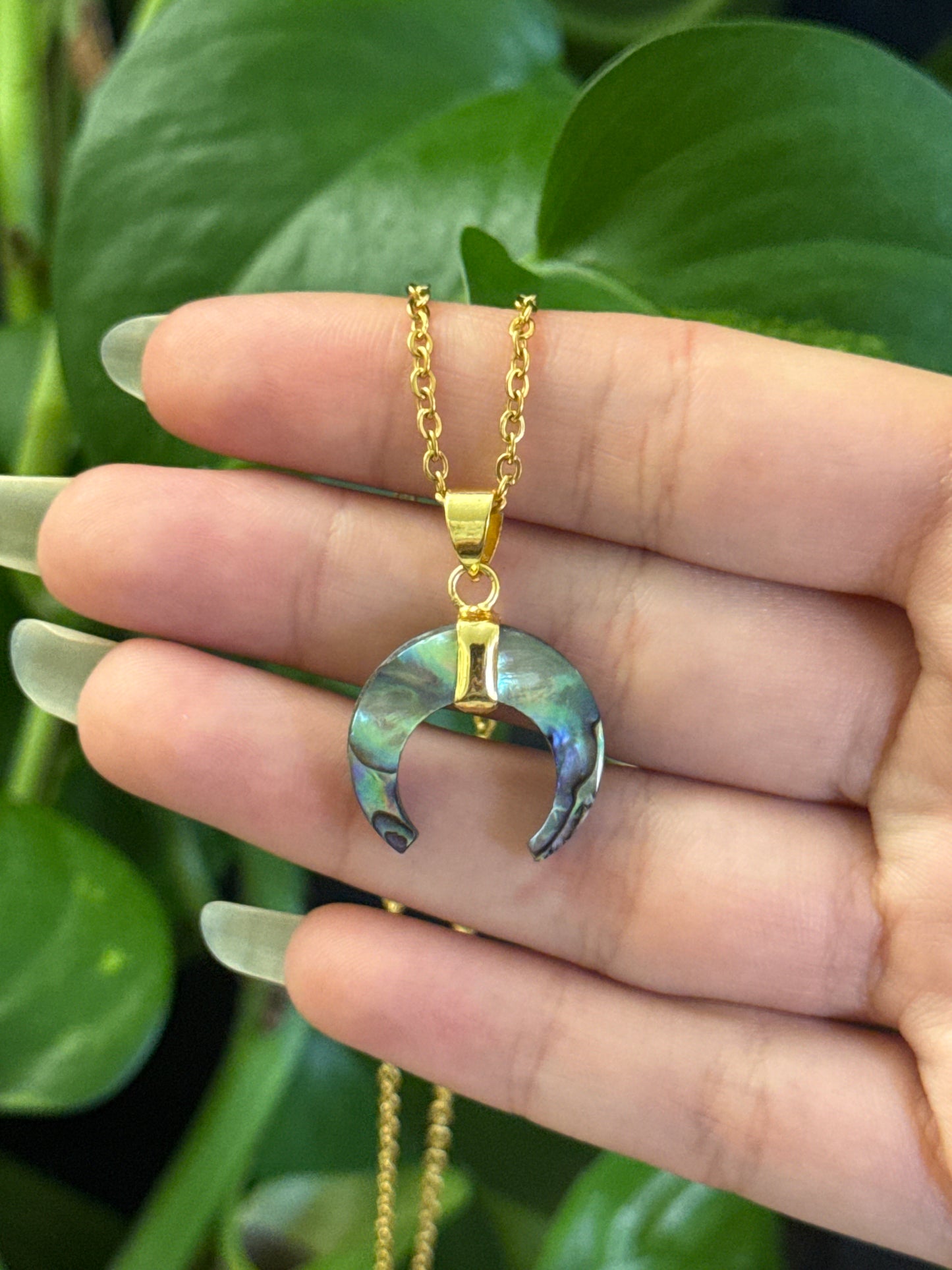 Abalone Shell Gold Necklace