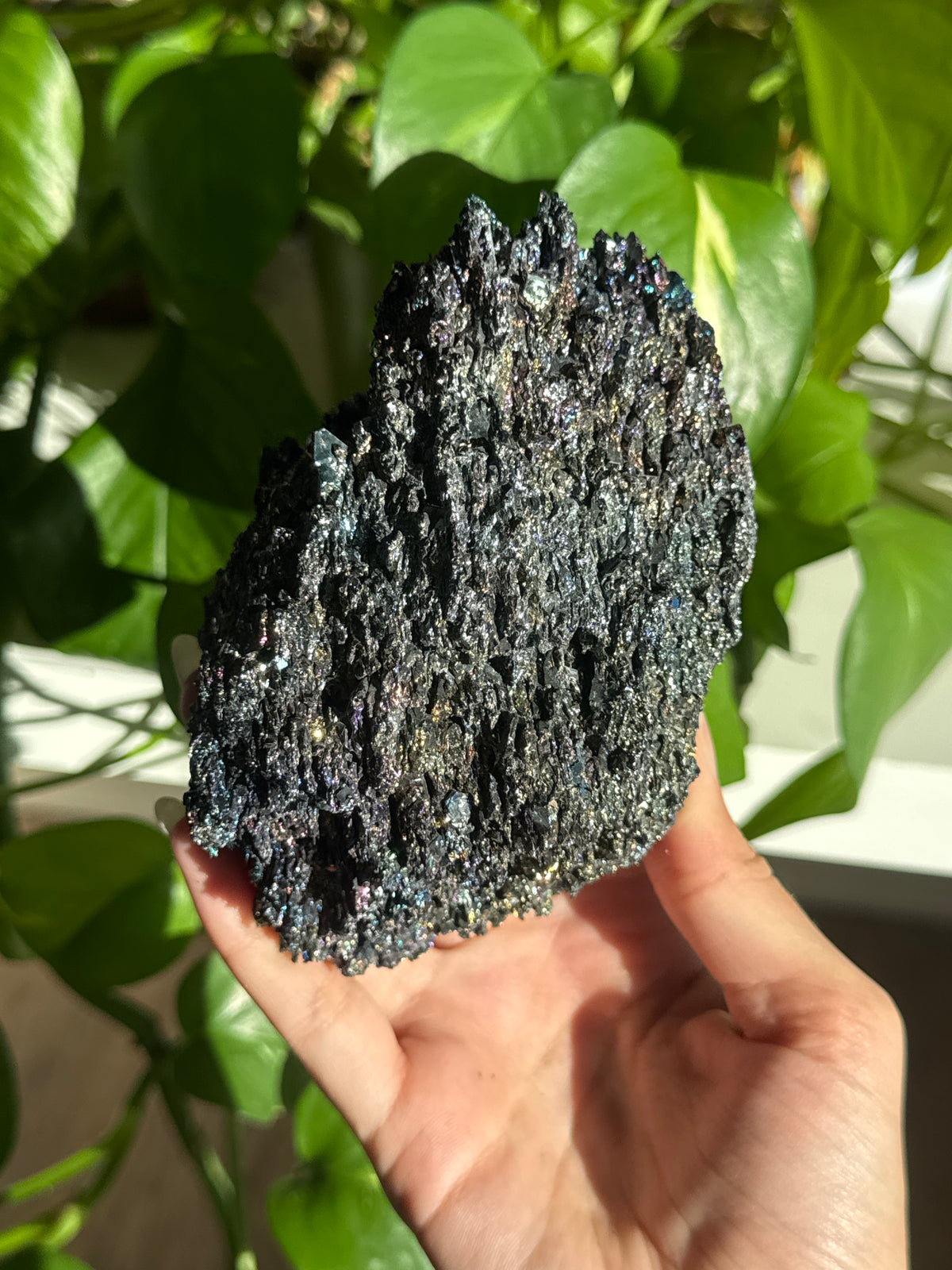 Rainbow Carborundum