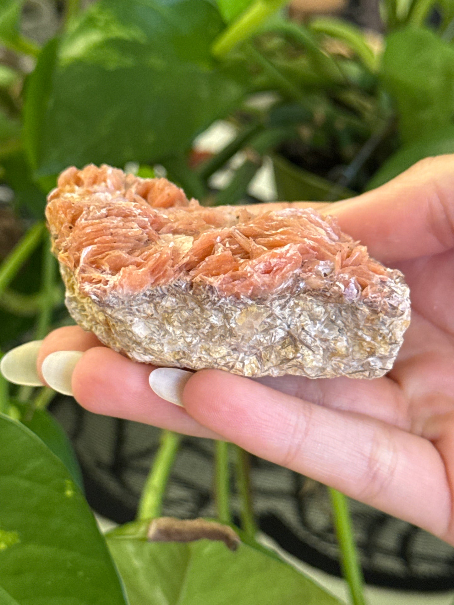 Peachy Feathered Barite Specimen