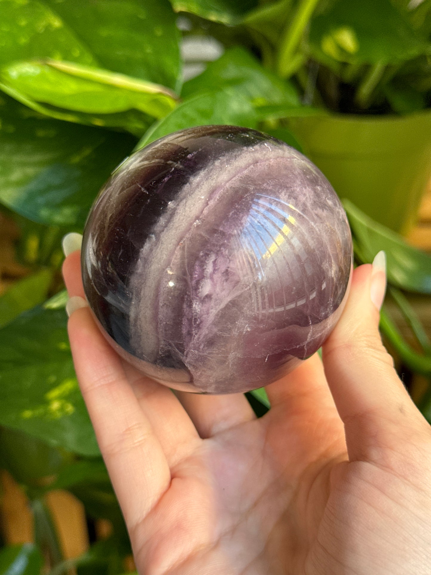 Moody Magenta Fluorite Sphere 71mm