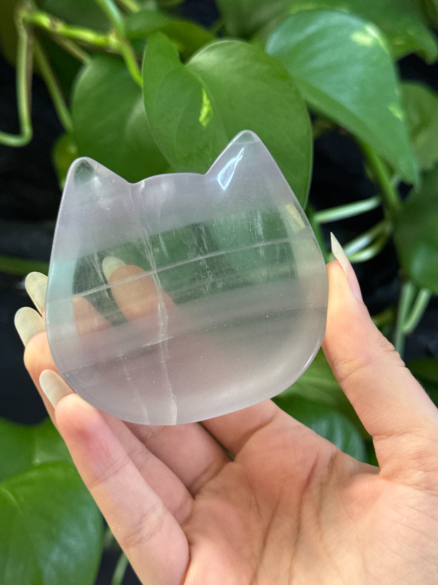 Yttrium Fluorite Kitty Bowl | You Pick