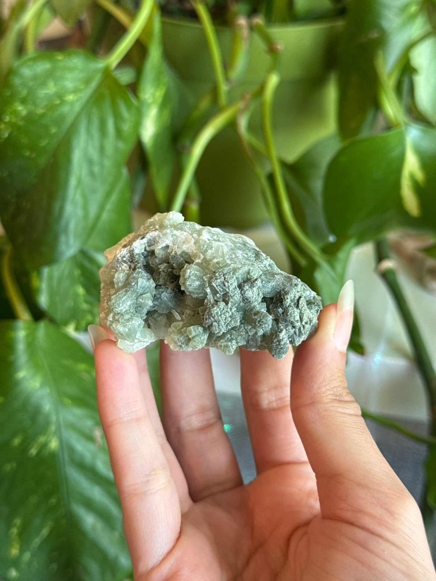 Color Gradient Crystalized Prehnite Specimen Cluster